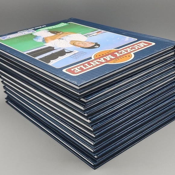 Baseball Legends 12 Books Snyder Mantel, Gehrig Berra Spahn Dimaggio & More - Picture 3 of 9